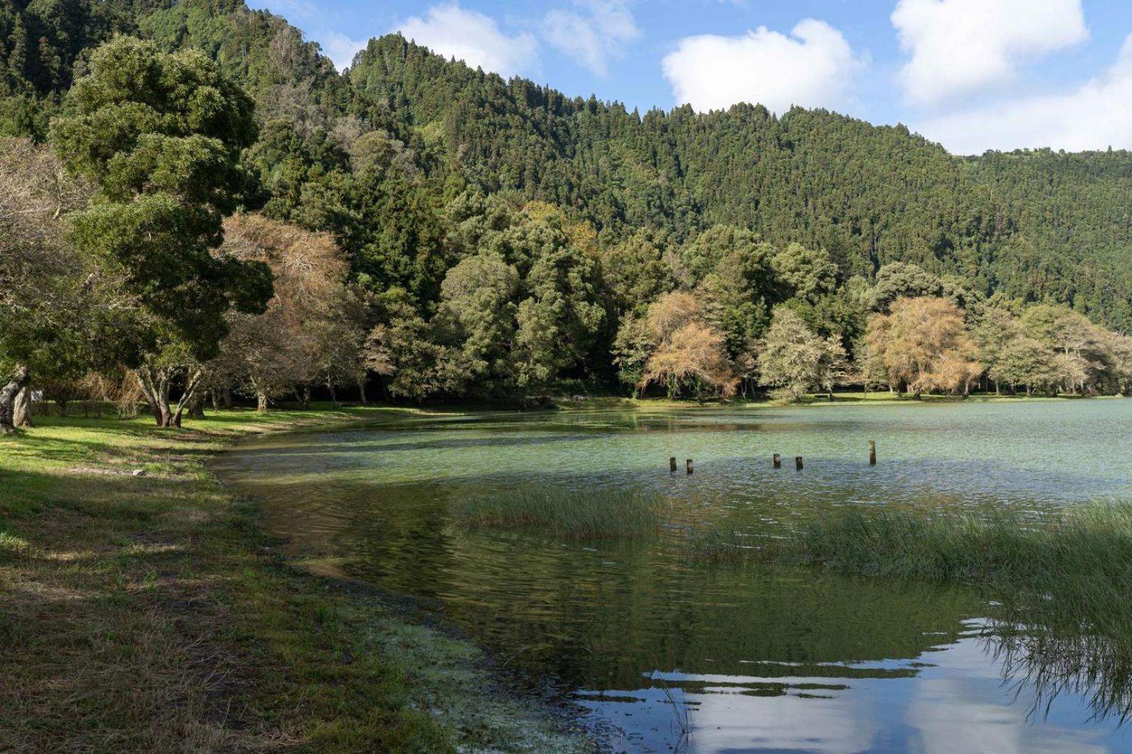 Quinta D'Agua Hotel Furnas Kültér fotó