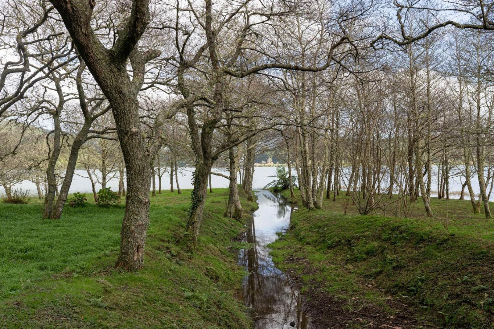 Quinta D'Agua Hotel Furnas Kültér fotó